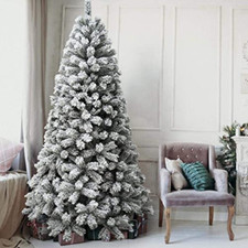 Bakaji albero natale usato  Roccagloriosa