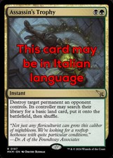 Mtg assassin trophy usato  Bari