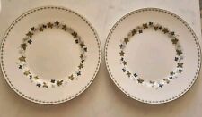 Susie copper wedgewood for sale  LEEDS