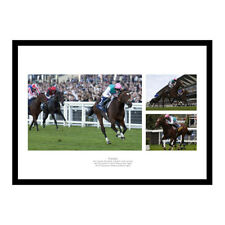 Frankel montage horse for sale  FARNHAM