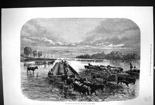 Old print 1875 for sale  UK