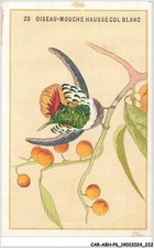 Abhp6 1115 chromos d'occasion  France