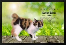 Fußmatte schmutzfangmatte kat gebraucht kaufen  Limbach-Oberfrohna