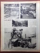 Articolo del 1917 usato  Enna