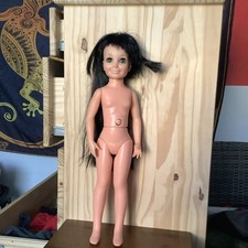 black crissy for sale  Oviedo