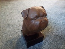 Griffon bruxellois bust for sale  KILMARNOCK