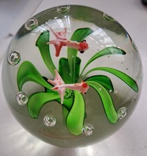 glass fish paperweight for sale glass fish paperweight for sale WORCESTER
