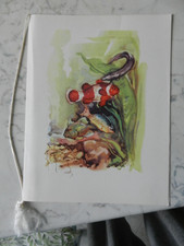 pesce pagliaccio usato pesce pagliaccio usato  Genova