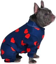 Spark paws dog for sale  BRISTOL