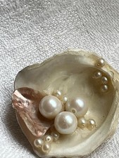 Brosche kleine auster gebraucht kaufen Brosche kleine auster gebraucht kaufen  Herrenberg