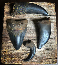Megalodon rex raptor usato  Spedire a Italy