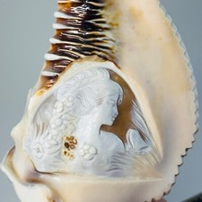Vintage carved conch for sale  Channahon