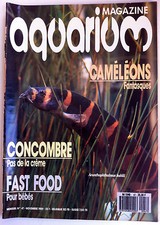 Aquarium magazine concombre d'occasion  Saint-Omer