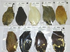 Nature spirit prime for sale  Taylor
