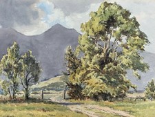 Skiddaw braithwaite lake for sale  YORK