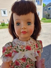 Pretty 1960 ideal for sale  Waukesha