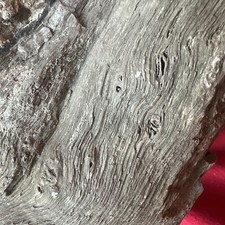 Madeira natural bruta petrificada bruta 4,8 lb rocha fóssil não polido comprar usado Madeira natural bruta petrificada bruta 4,8 lb rocha fóssil não polido comprar usado  Enviando para Brazil