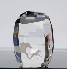 Swarovski scs 2014 gebraucht kaufen  Weilburg