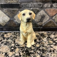 Yellow labrador retriever for sale  Tuscaloosa