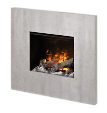 Dimplex wandkamin nissum gebraucht kaufen  Tettau