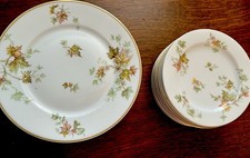 Haviland limoges autumn for sale  Lexington