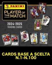 Panini player the usato  Roma
