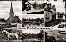 Fürstenberg weser pferd gebraucht kaufen  Berlin