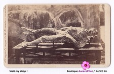 Pompeii human footprint d'occasion  Expédié en Belgium