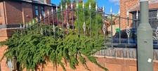 297.5 solid wrought for sale  NOTTINGHAM