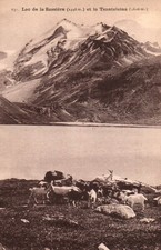 Old postcard lac d'occasion  Expédié en Belgium