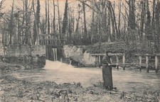 Vallee chevreuse 77589 d'occasion  Vasles