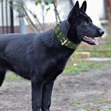 Large breed nylon for sale  HATFIELD
