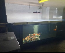 Pond 750i for sale  LEATHERHEAD