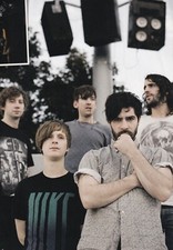 Foals 2009 mini for sale  SUNDERLAND