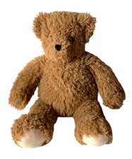 Vermont teddy bear for sale  Johnson City