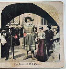 Giant old paris for sale  Knightdale