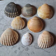 Bundle assorted cockle for sale  BLAYDON-ON-TYNE