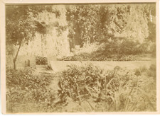Vintage citrate print d'occasion  Expédié en Belgium