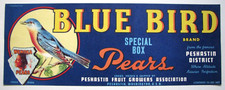 Original blue bird for sale  Choteau