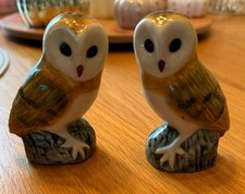 barn owl for sale barn owl for sale  FISHGUARD