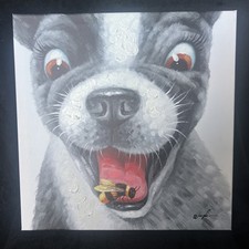 Boston terrier eating for sale  READING