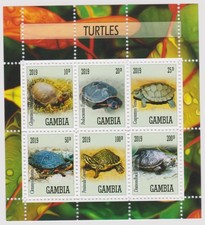 Tortues animaux d'occasion  Meyzieu