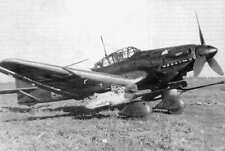 Wwii german luftwaffe for sale  Meridian