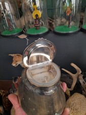 Antique taxidermy horse for sale  KINGSWINFORD