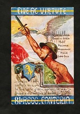 Cartolina militari 81 usato  Mantova