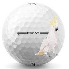 Titleist pro 2022 for sale  Pompano Beach