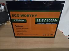 Eco worthy 12v gebraucht kaufen  Forst (Lausitz)