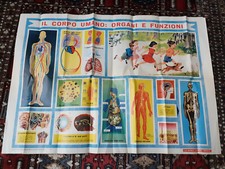 Poster didattico antico usato  Pisogne