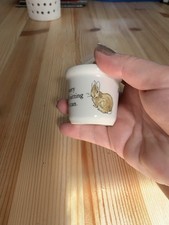 Wedgewood peter rabbit for sale  NORWICH