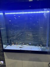 Custom made fish for sale  LEICESTER